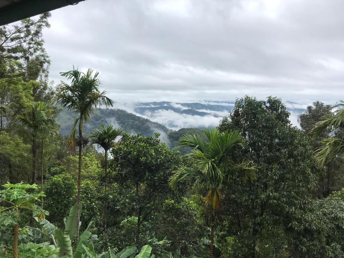 Munnar Nature Dale Villa Kültér fotó